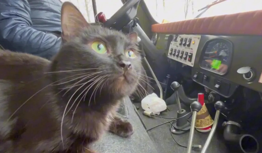 Скриншот видео «Официальный Подольск»