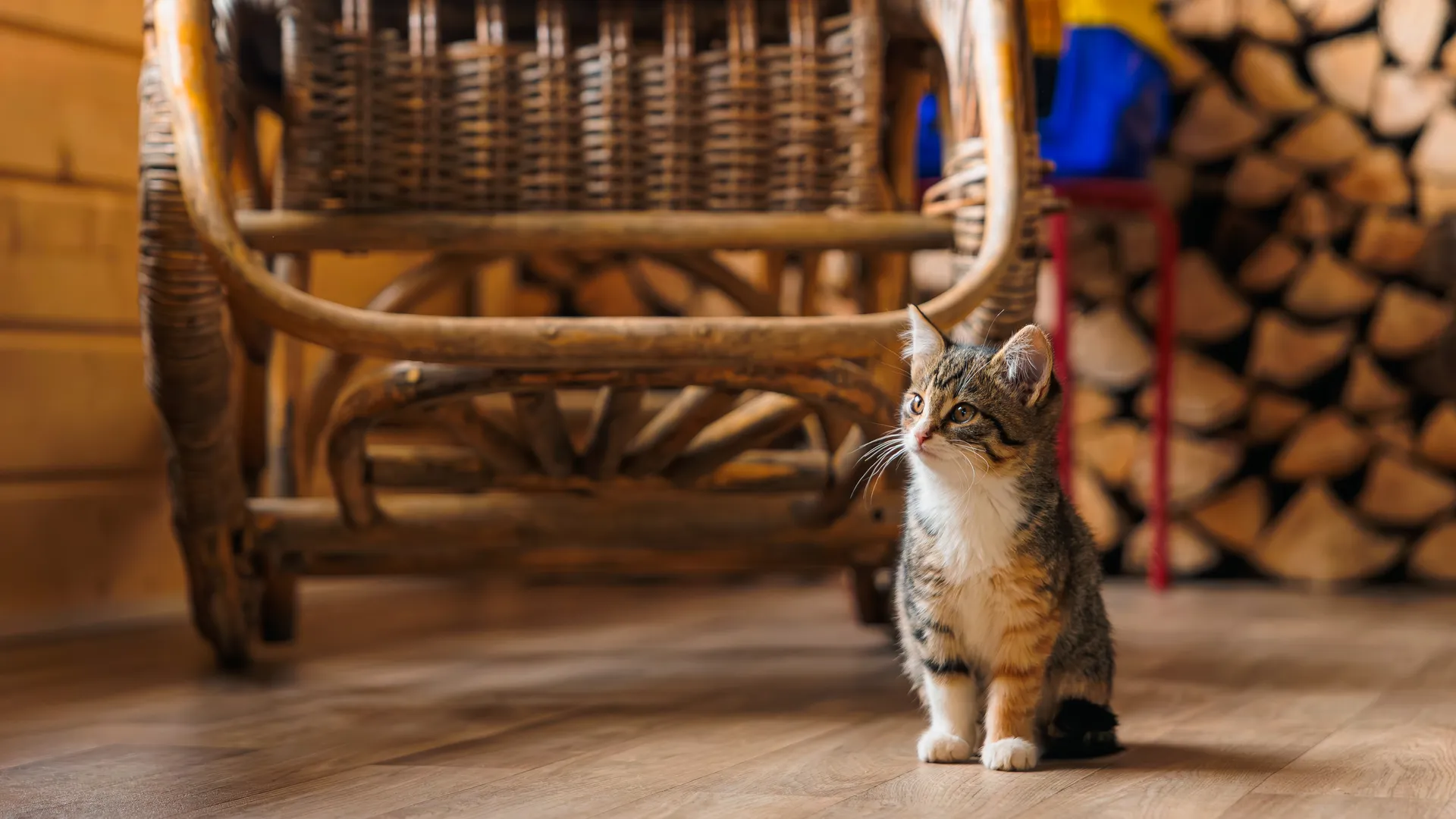 медиасток.рф