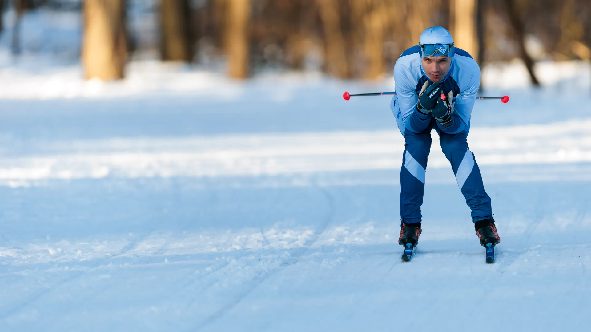 Эпический прорыв: в Одинцове медведь «выдул» снег из причинного места и стал вирусным мемом