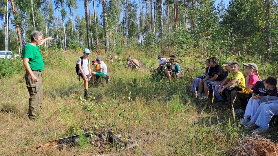 Фото: Комитет лесного хозяйства МО