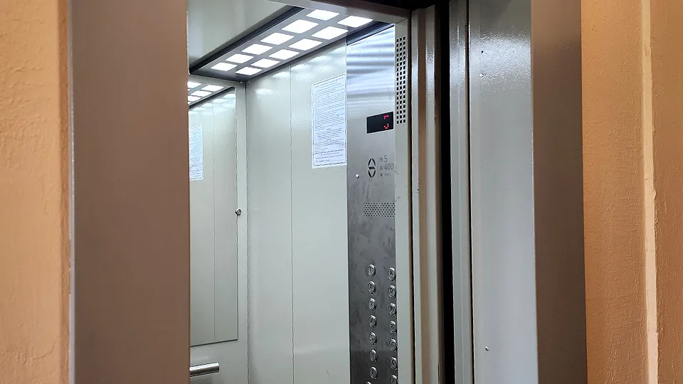 Фото: МедиаБанк Подмосковья/Роман Савельев