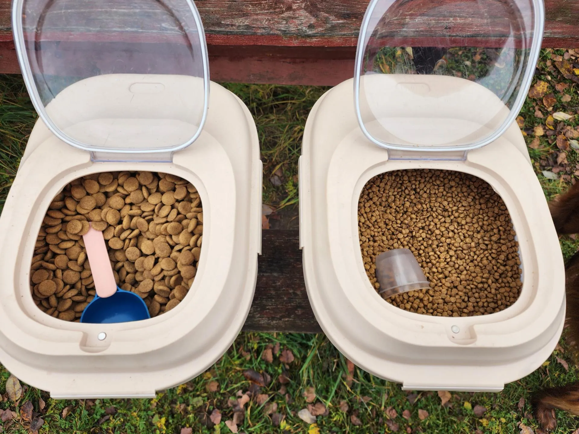 Фото: Елена Шумакова