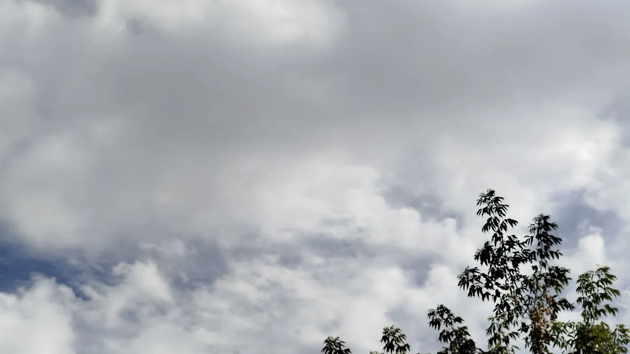 Фото: REGIONS/Юлия Куделькина