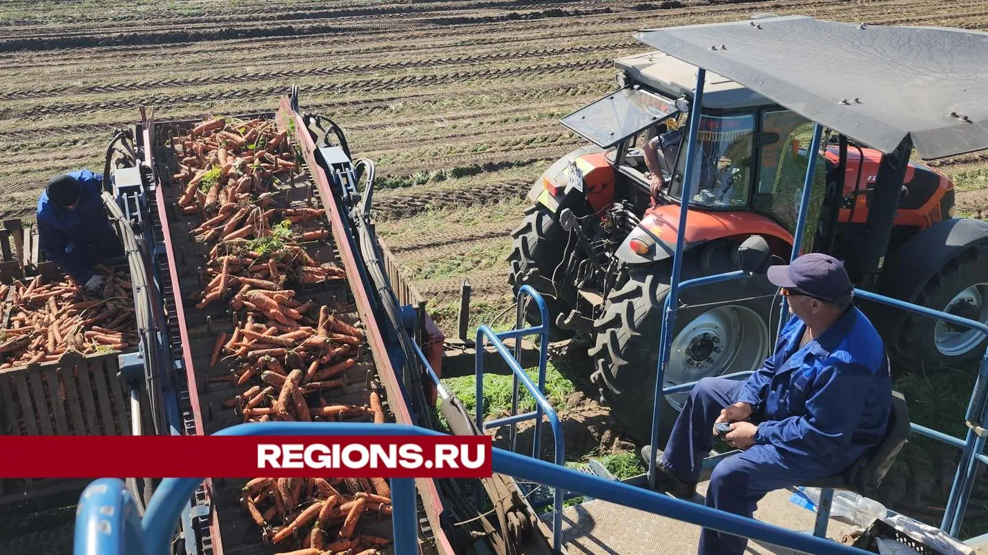 Фото: REGIONS/Валерий Гореловский