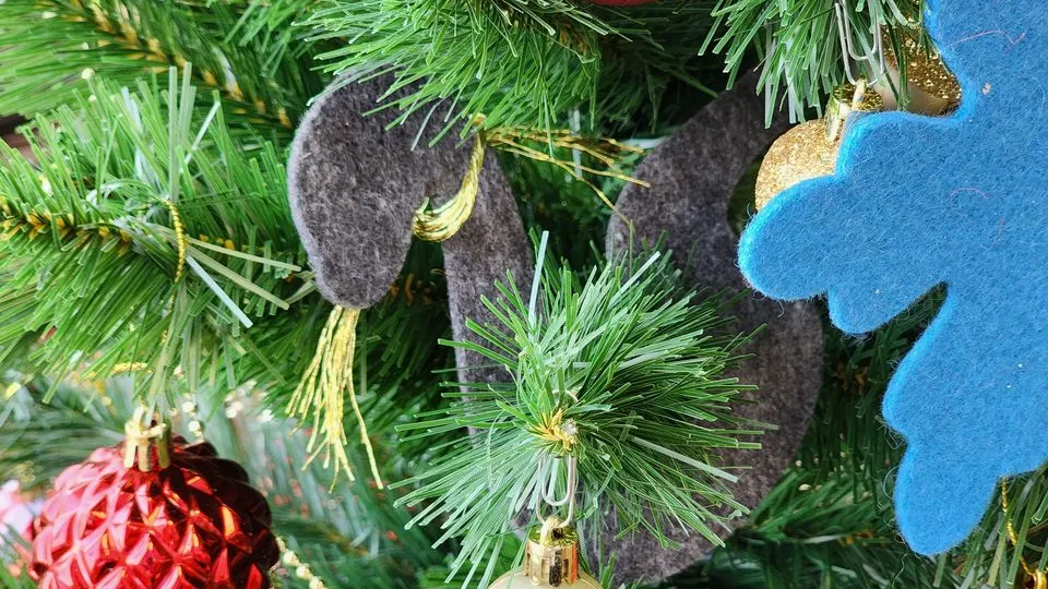 Фото: МедиаБанк Подмосковья/Светлана Плотникова