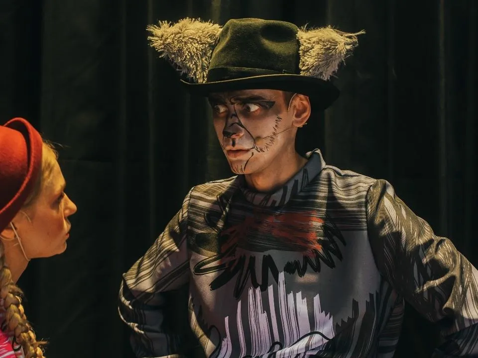 «Эти мелодии зовут петь и танцевать»: в Пушкино с аншлагом прошла премьера детского мюзикла про Красную Шапочку