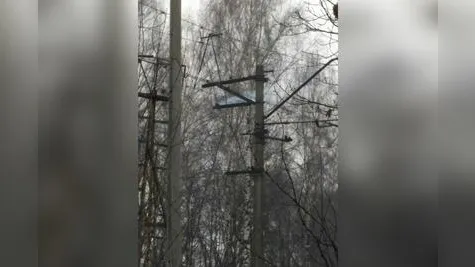 Линия электропередач загорелась в Ивантеевке