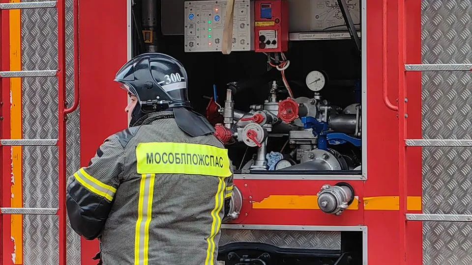 Фото: МедиаБанк Подмосковья/Елена Катасонова