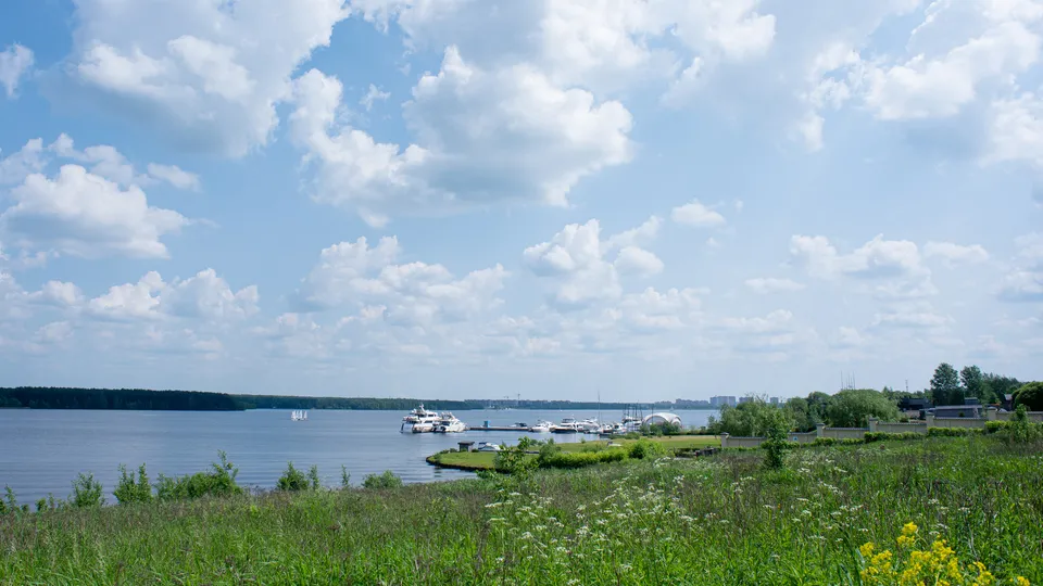 Фото: медиасток.рф