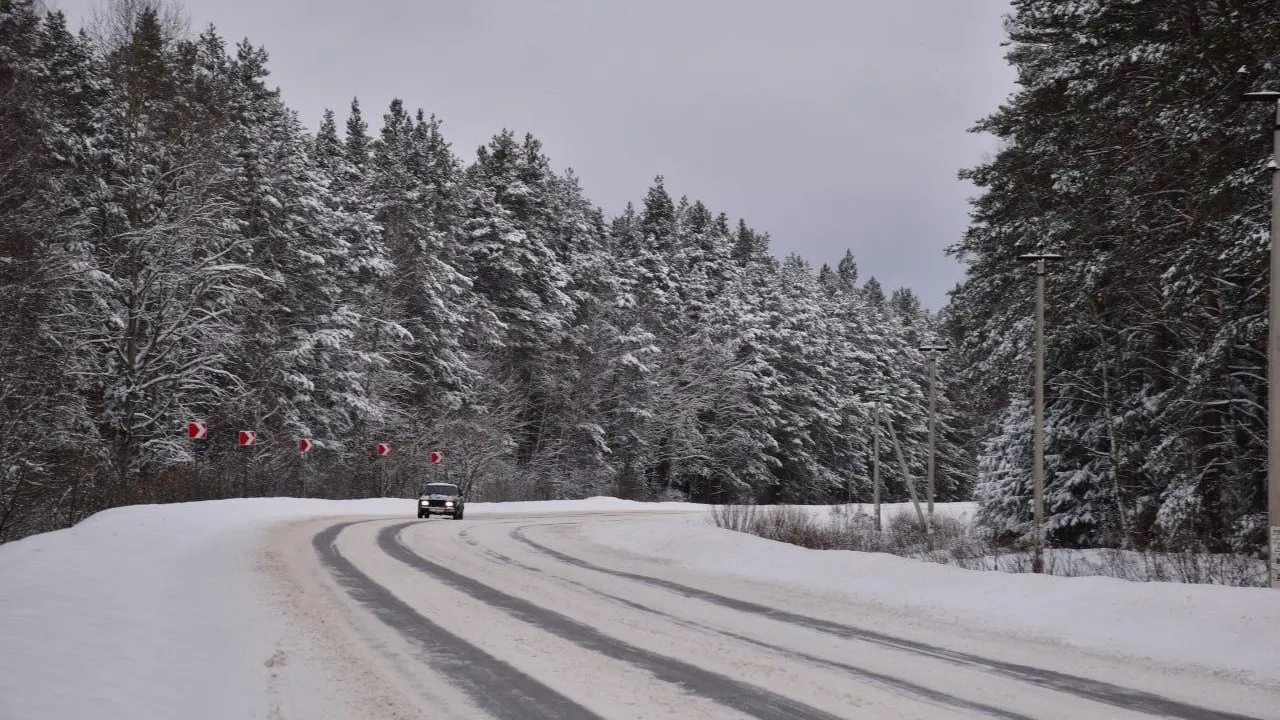Фото: Оксана Лапшина