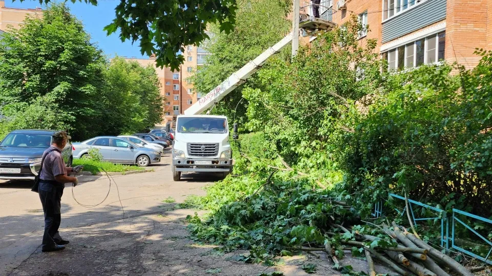 Фото: Дмитрий Алексеенко