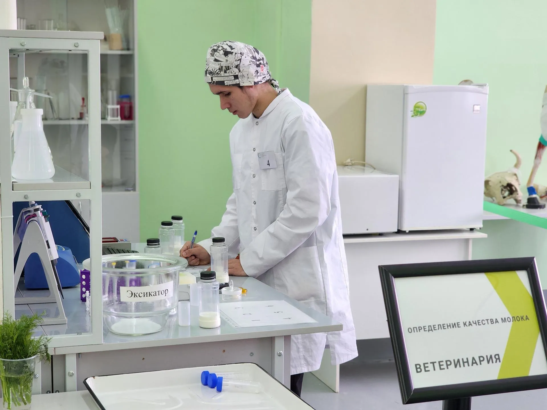 REGIONS/Елена Шумакова