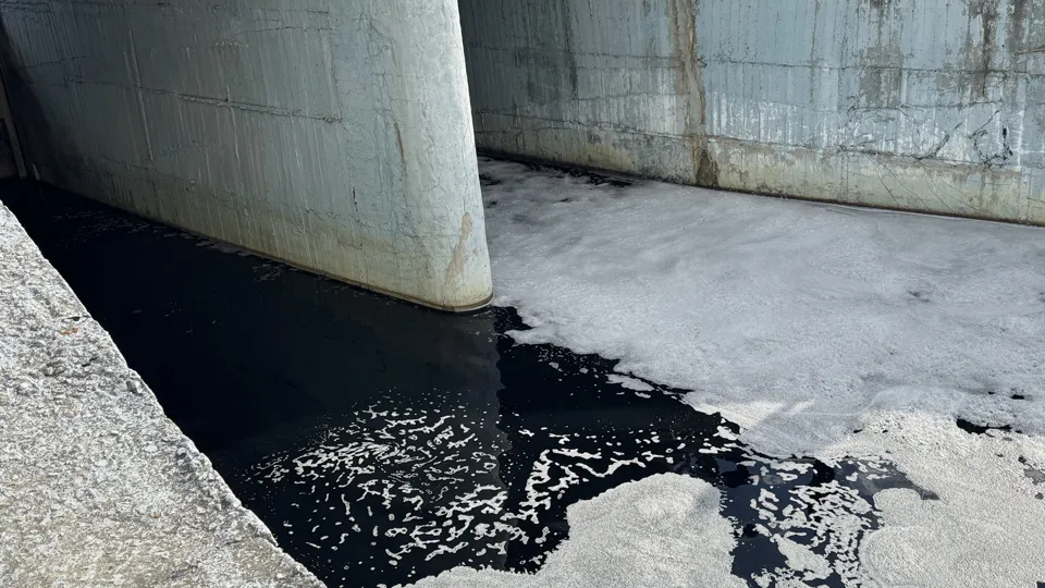 Фото: МедиаБанк Подмосковья/Виктория Фортуна