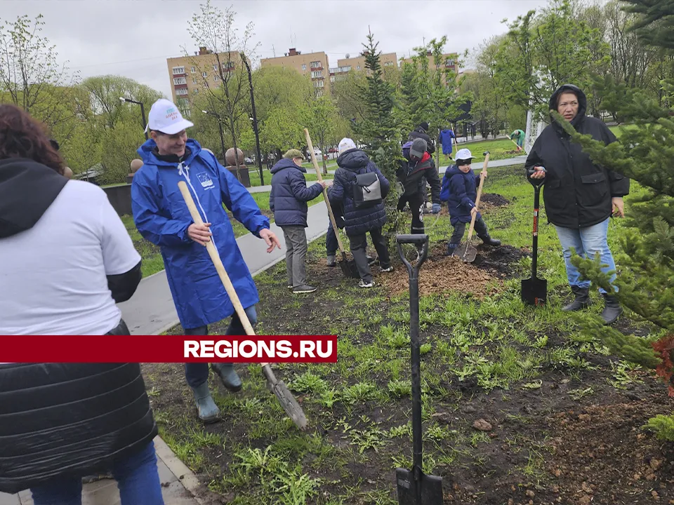 Фото: REGIONS/Михаил Раскин