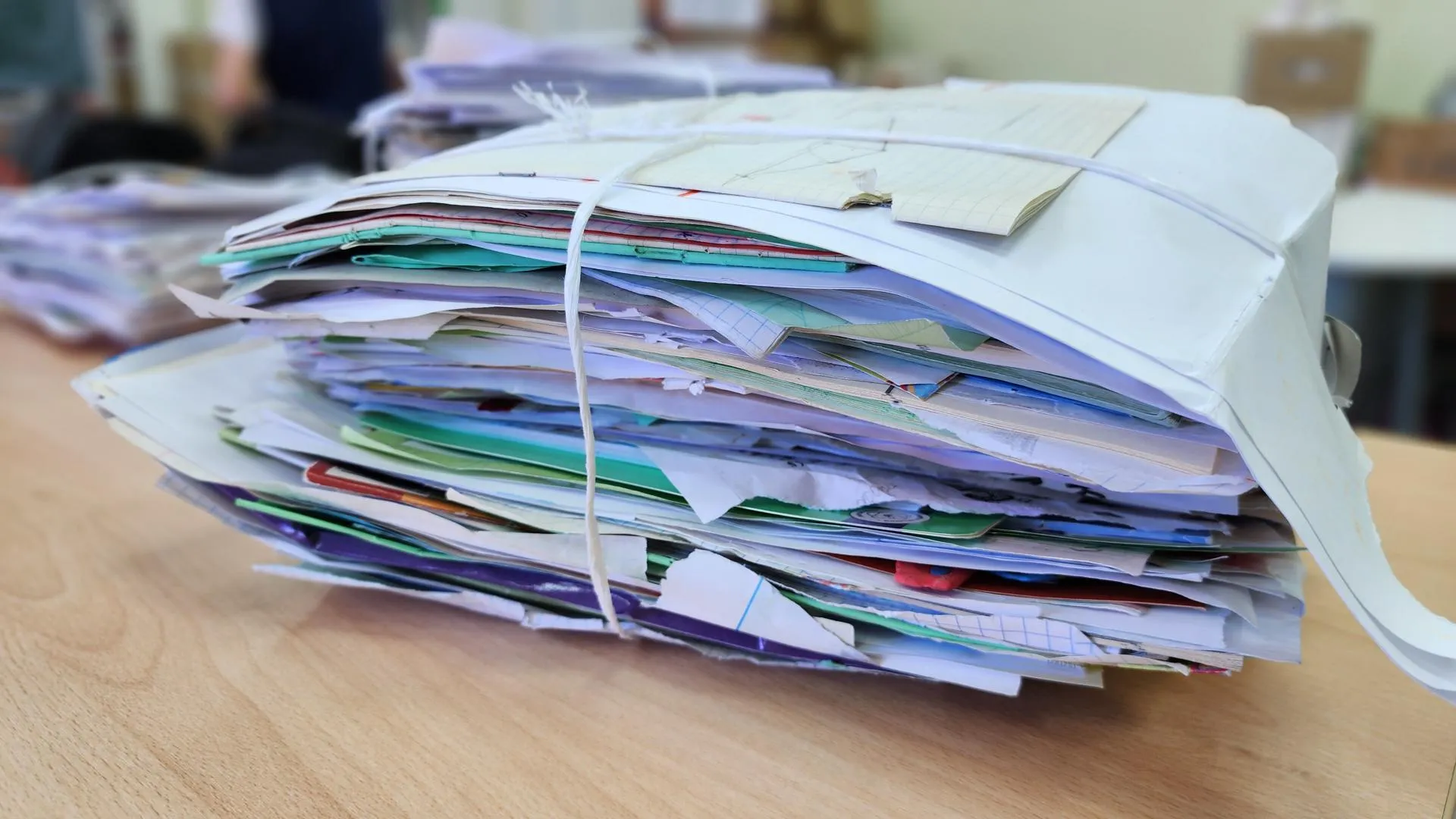 МедиаБанк Подмосковья/Екатерина Данилина