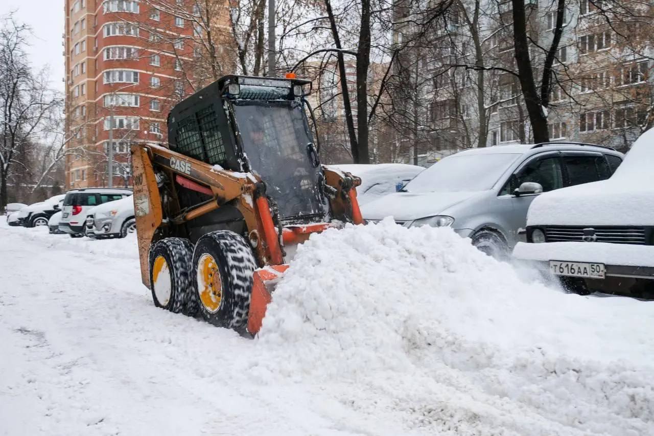 Фото: администрация г.о. Люберцы