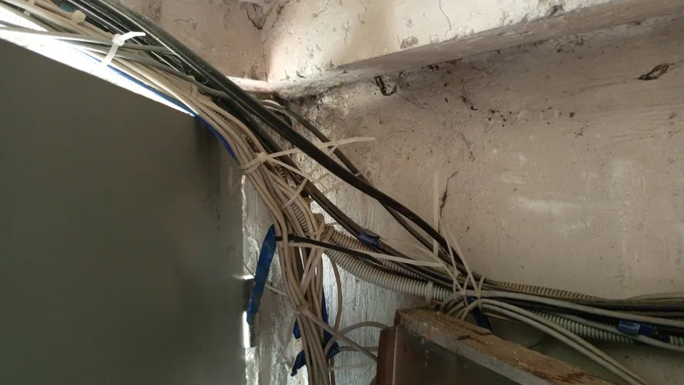 Фото: Муниципальное отделение АПСМКДМО г.о. Коломна