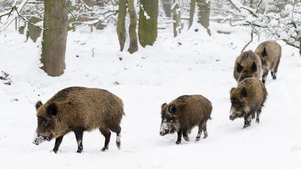 istockphoto.com/RelaxFoto.de