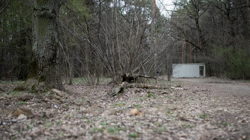 Фото: администрация городского округа Люберцы