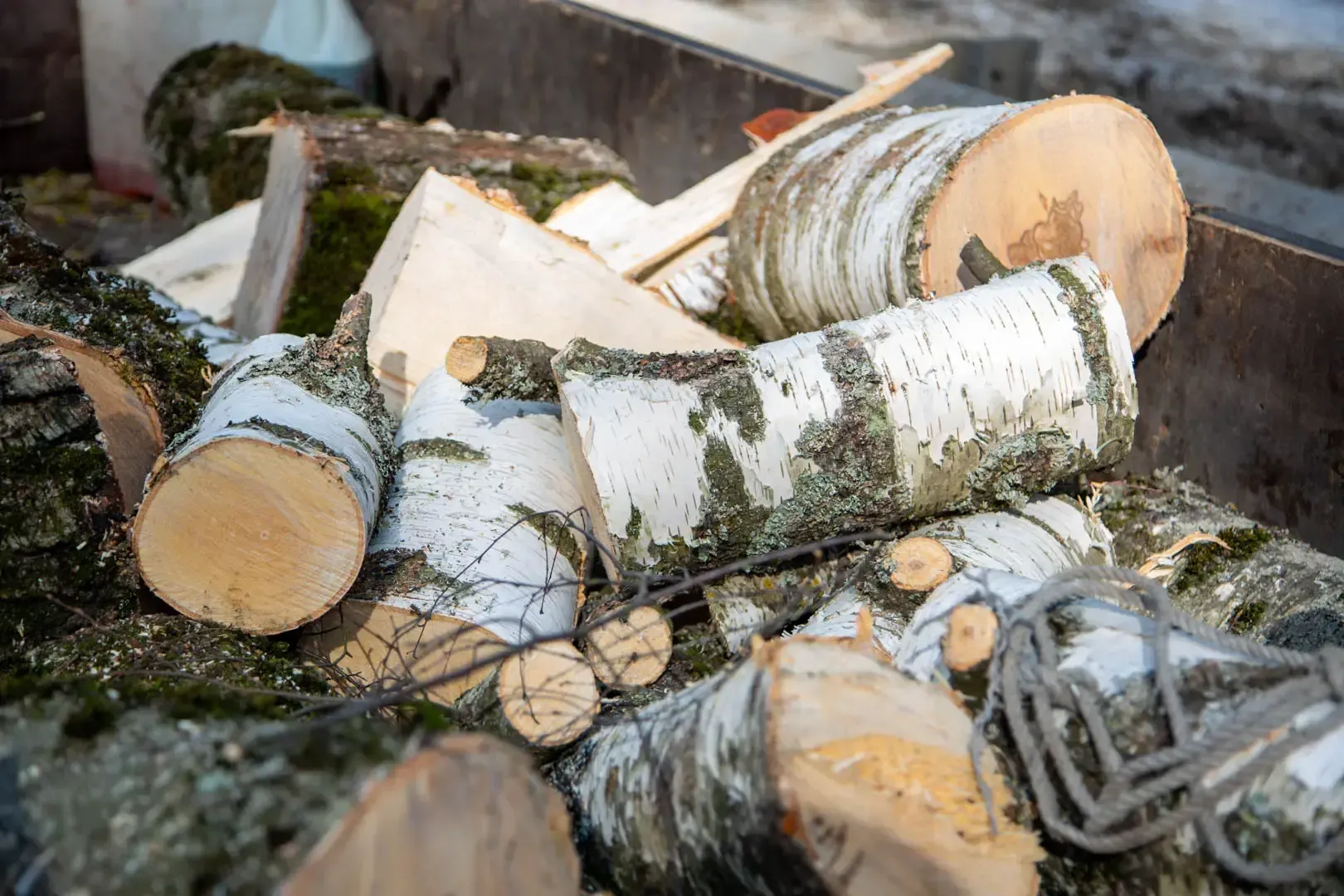 пресс-служба администрации ЗАТО Звездный городок