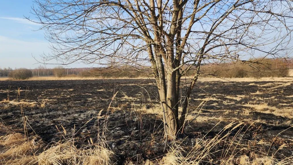 Фото: МедиаБанк Подмосковья/Ольга Антонова
