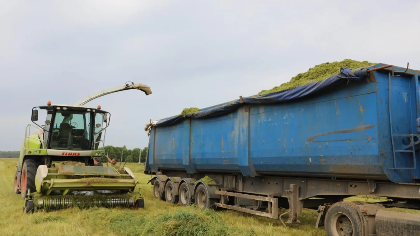 Фото: пресс-служба администрации Наро-Фоминского г.о.