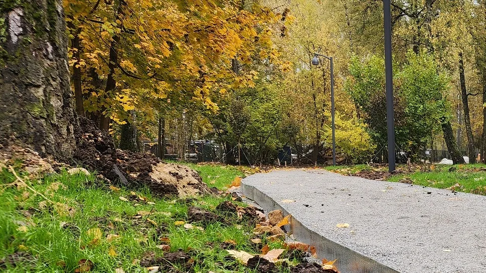 Фото: МедиаБанк Подмосковья/Мария Шигорева