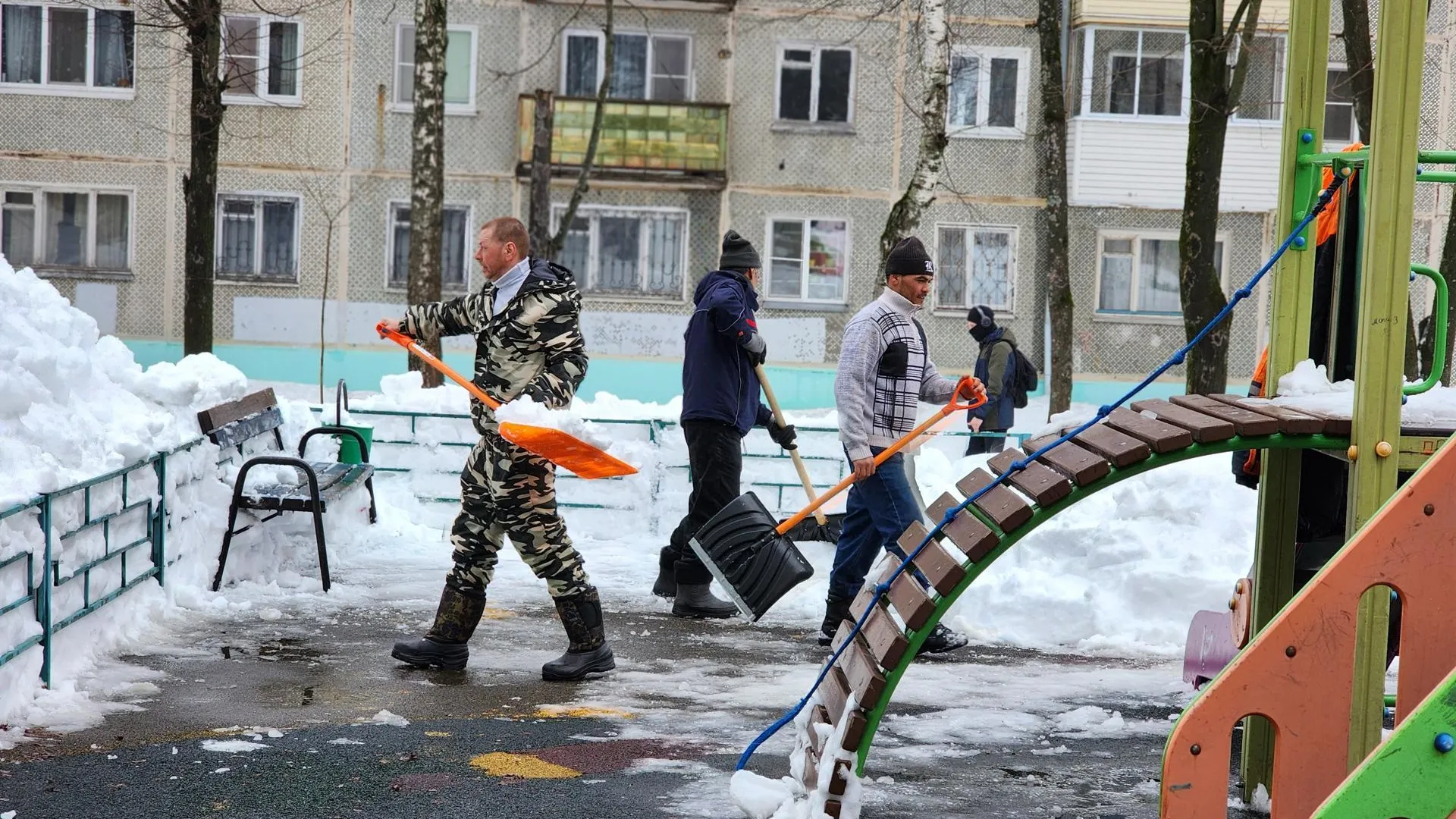 REGIONS/Елена Шумакова