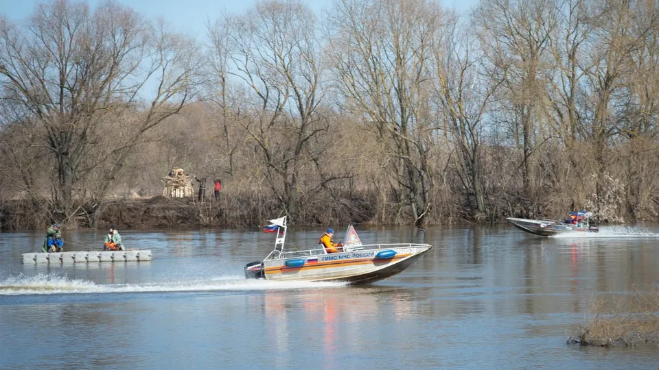 Фото: пресс-служба администрации г.о. Коломна