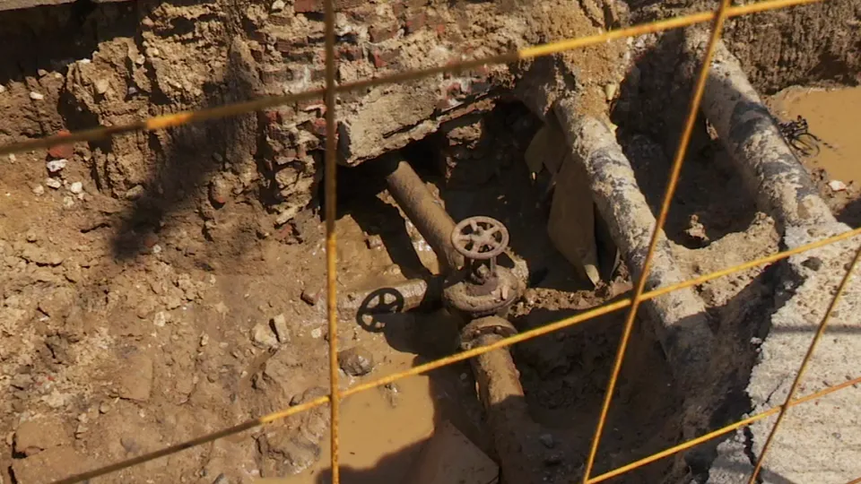 Фото: МедиаБанк Подмосковья/Данила Кирьянов