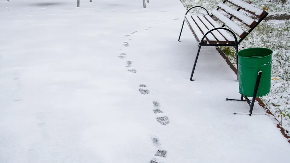 Фото: медиасток.рф