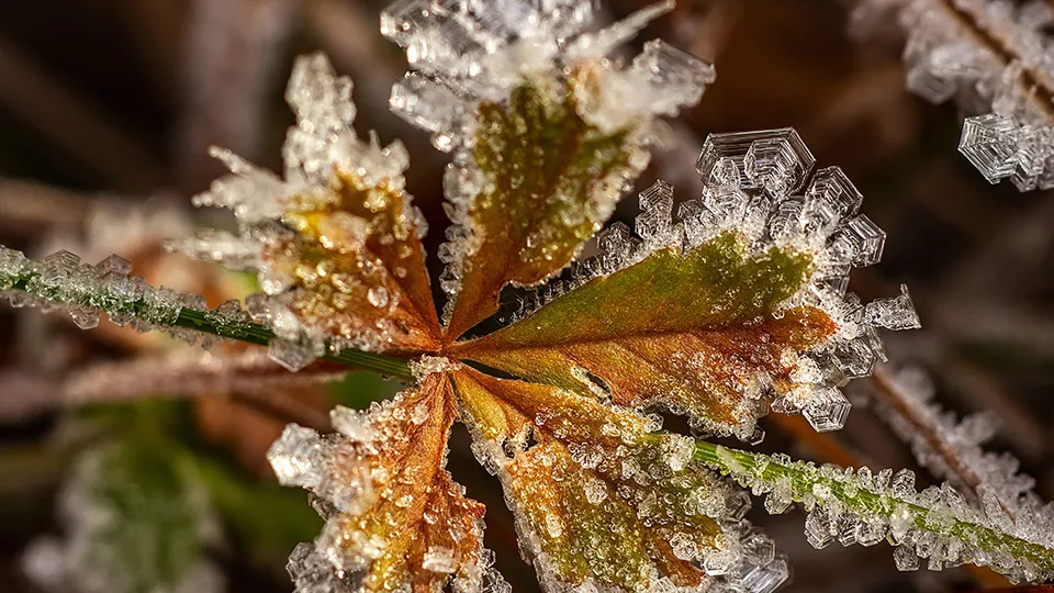 Фото: Антон Кондратюк