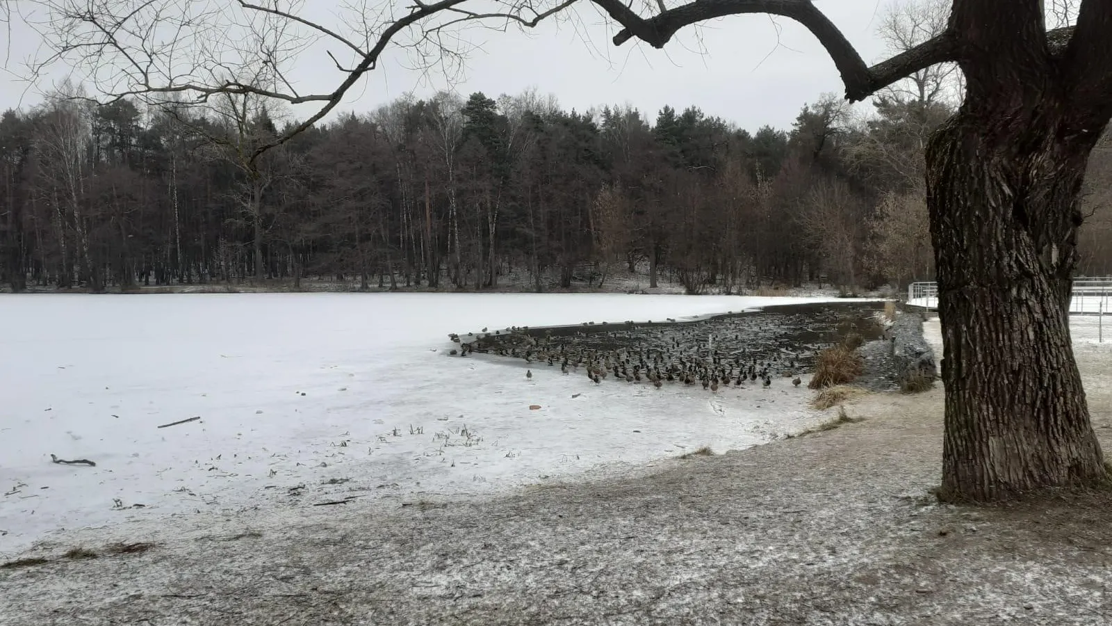 ГКУ МО "Мособлпожспас"
