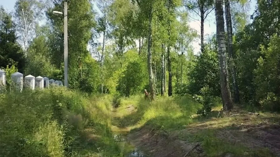 Фото: Министерство имущественных отношений Московской области