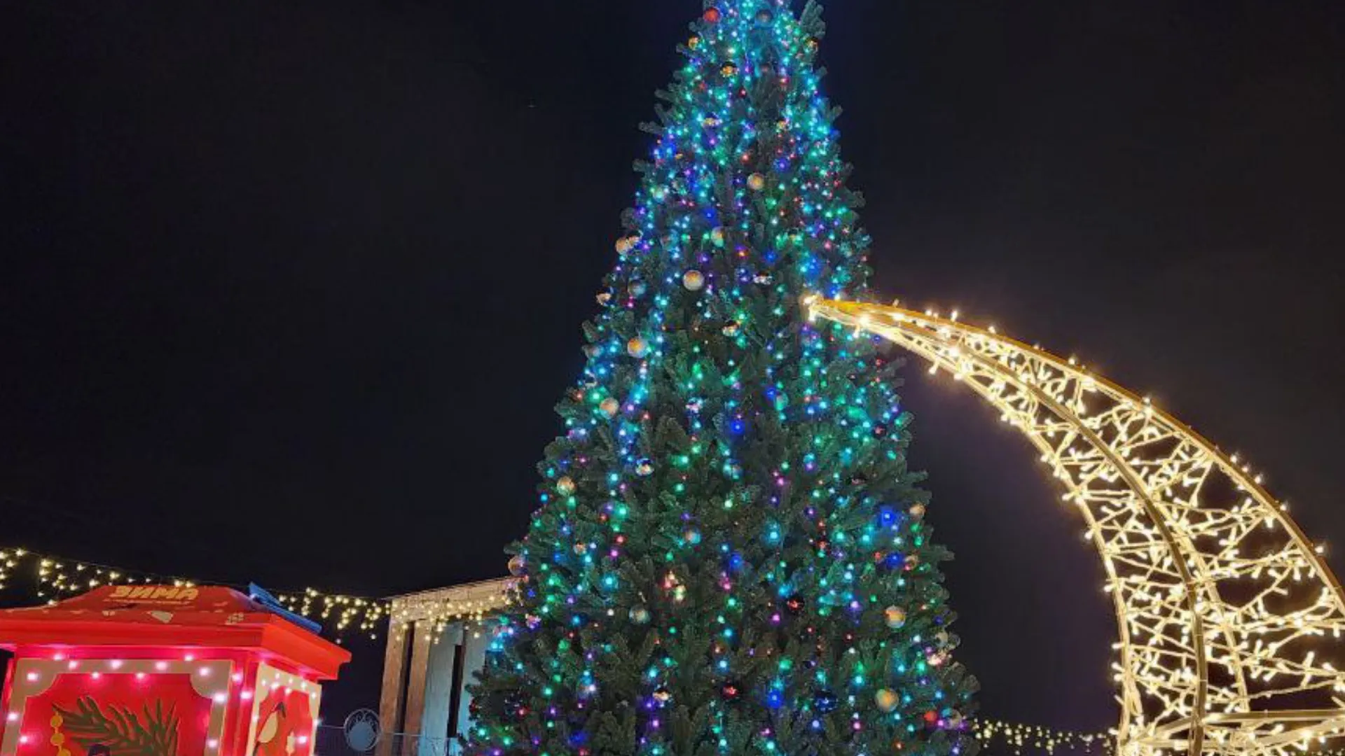 Фото: МедиаБанк Подмосковья\Ирина Матвеева