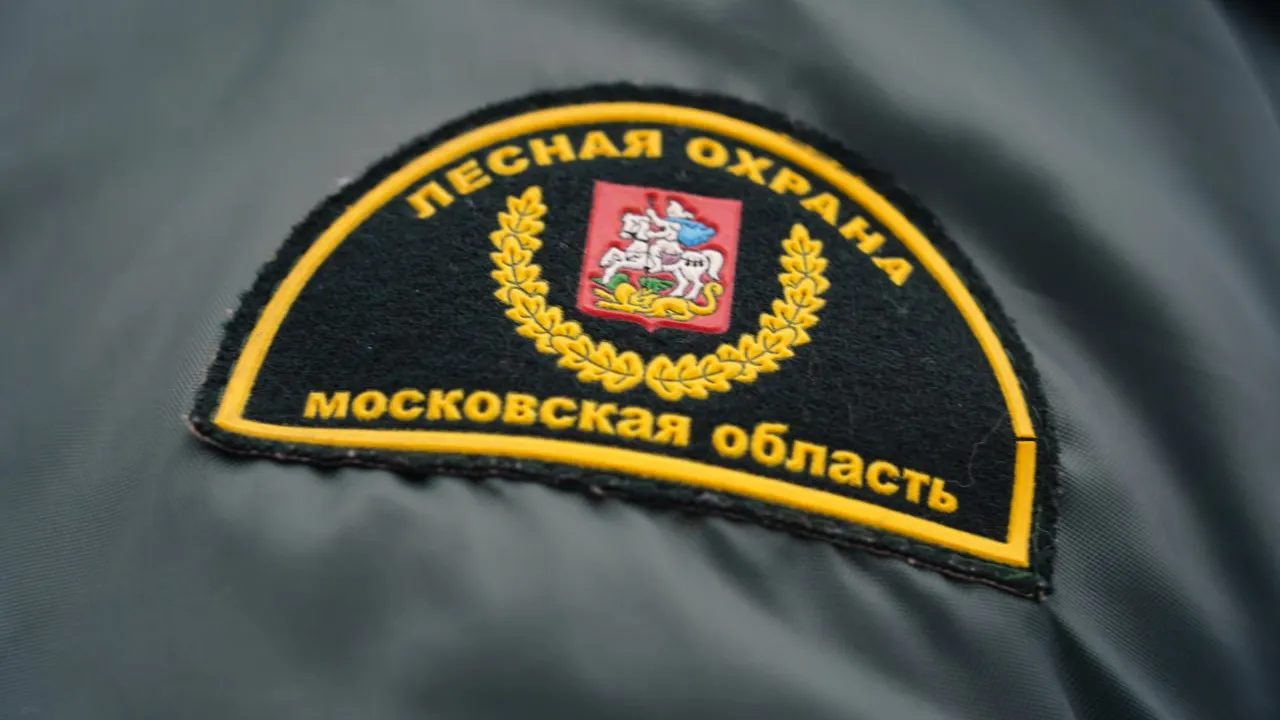 Фото: МедиаБанк Подмосковья/Анастасия Хренкова