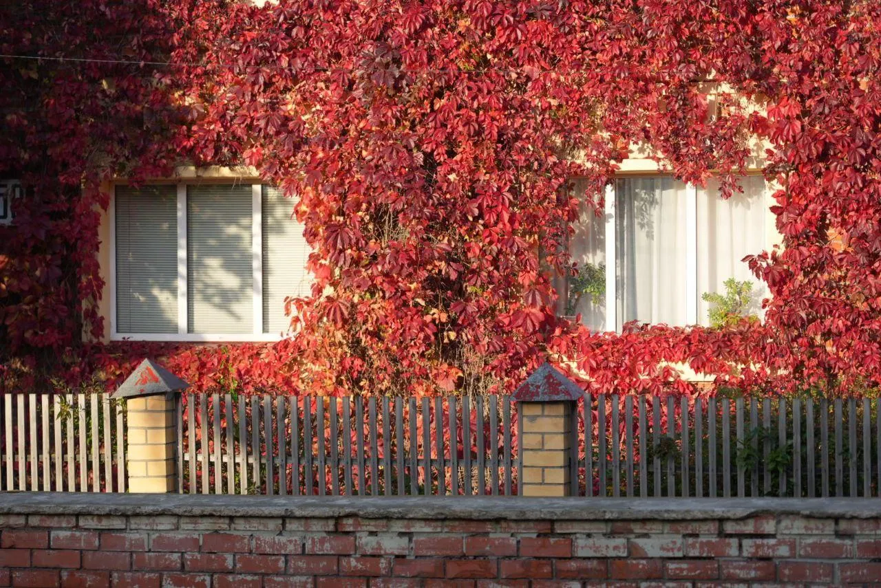 Дмитрий Зайчиков