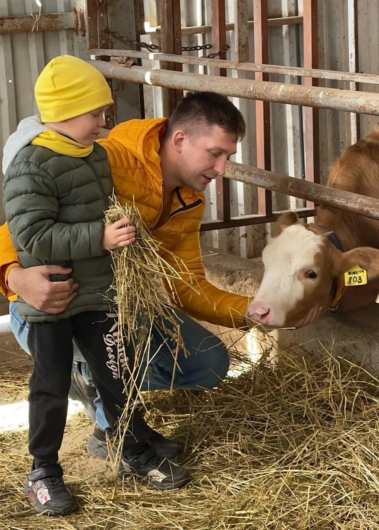 Фото: Истринская сыроварня Олега Сироты / ВКонтакте