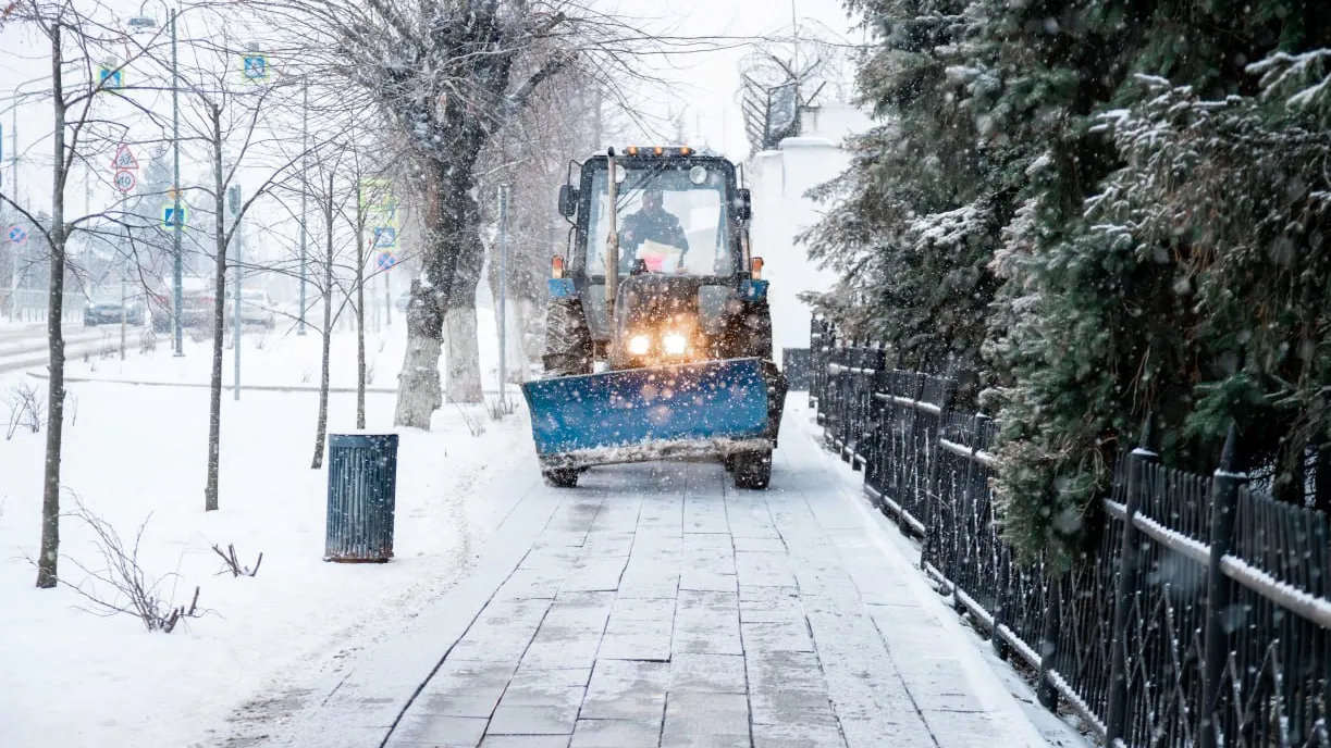 Фото: пресс-служба администрации г.о. Кашира
