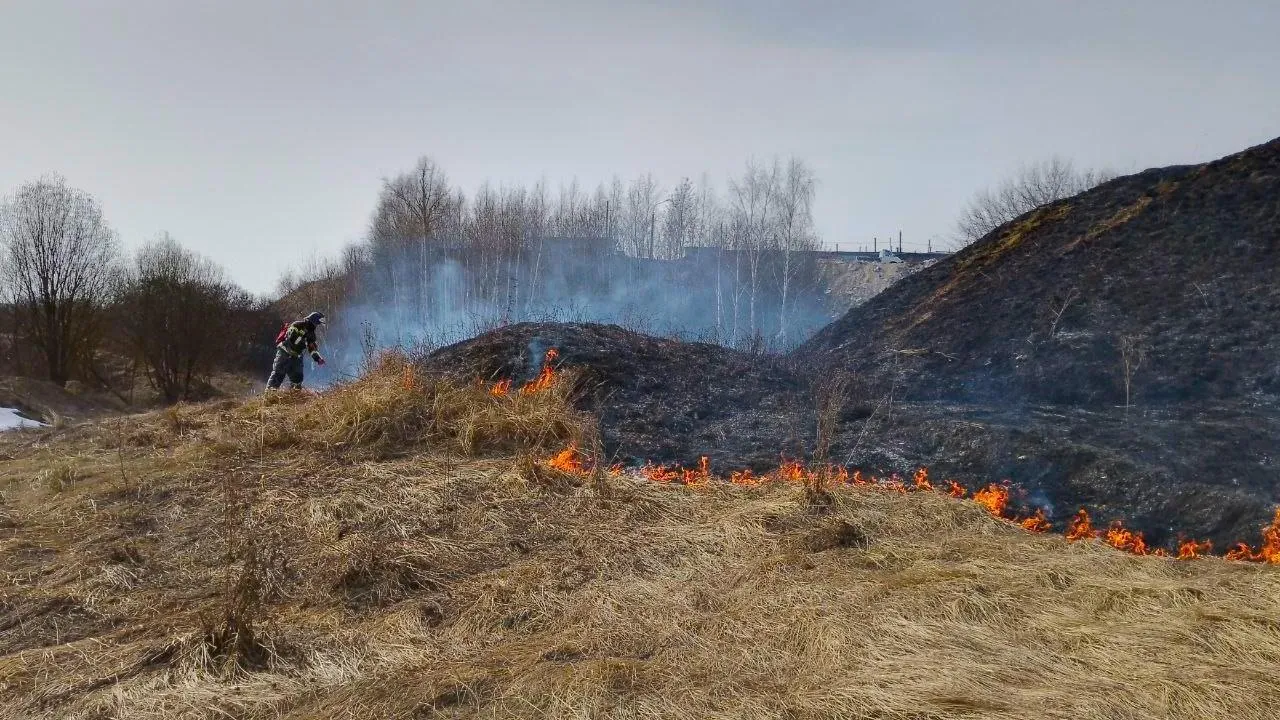 Жителей Подмосковья призвали не поджигать сухую траву