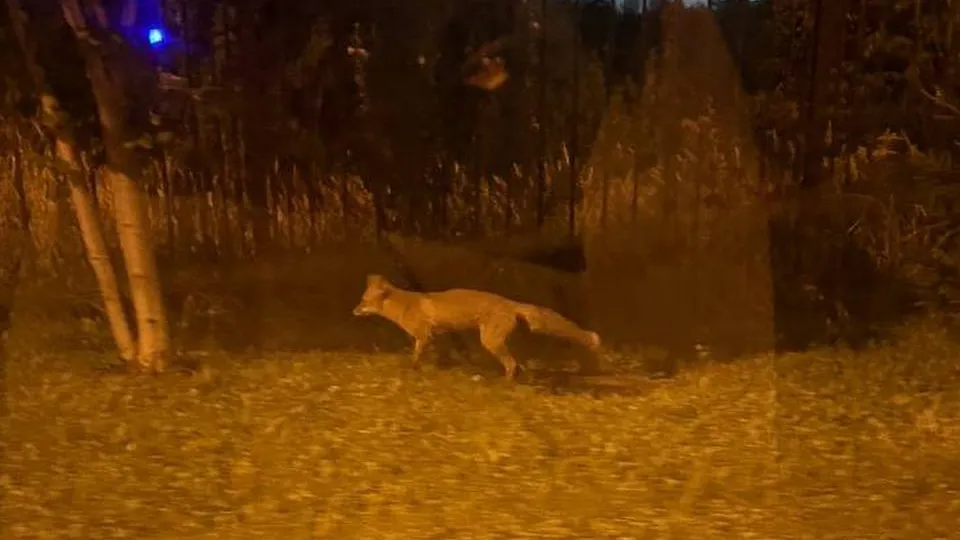 Фото: REGIONS/Данил Забытов