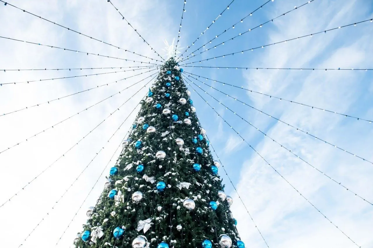 Фото: Татьяна Витушева / ВКонтакте