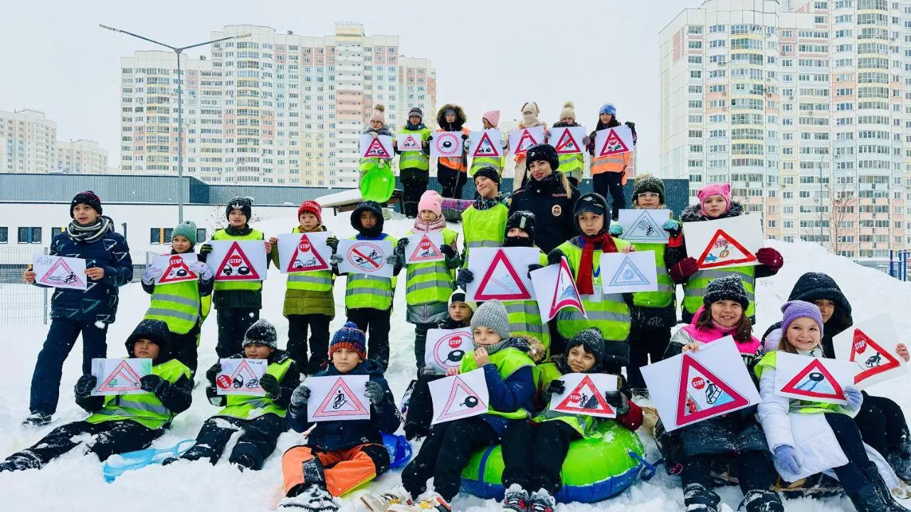 Источник: Госавтоинспекция МО