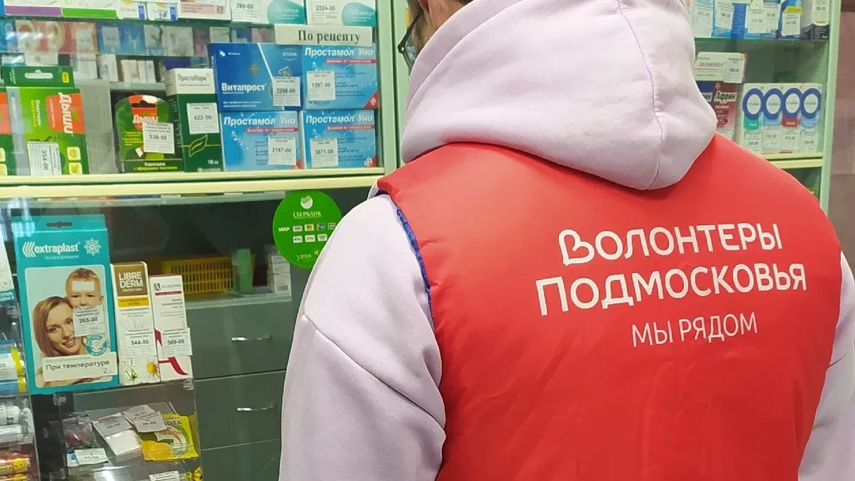 Источник: волонтерский штаб г.о. Серебряные Пруды