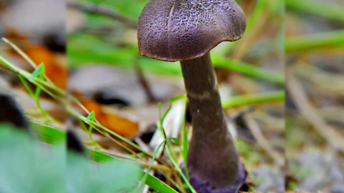 Фото: Ольга Калинина