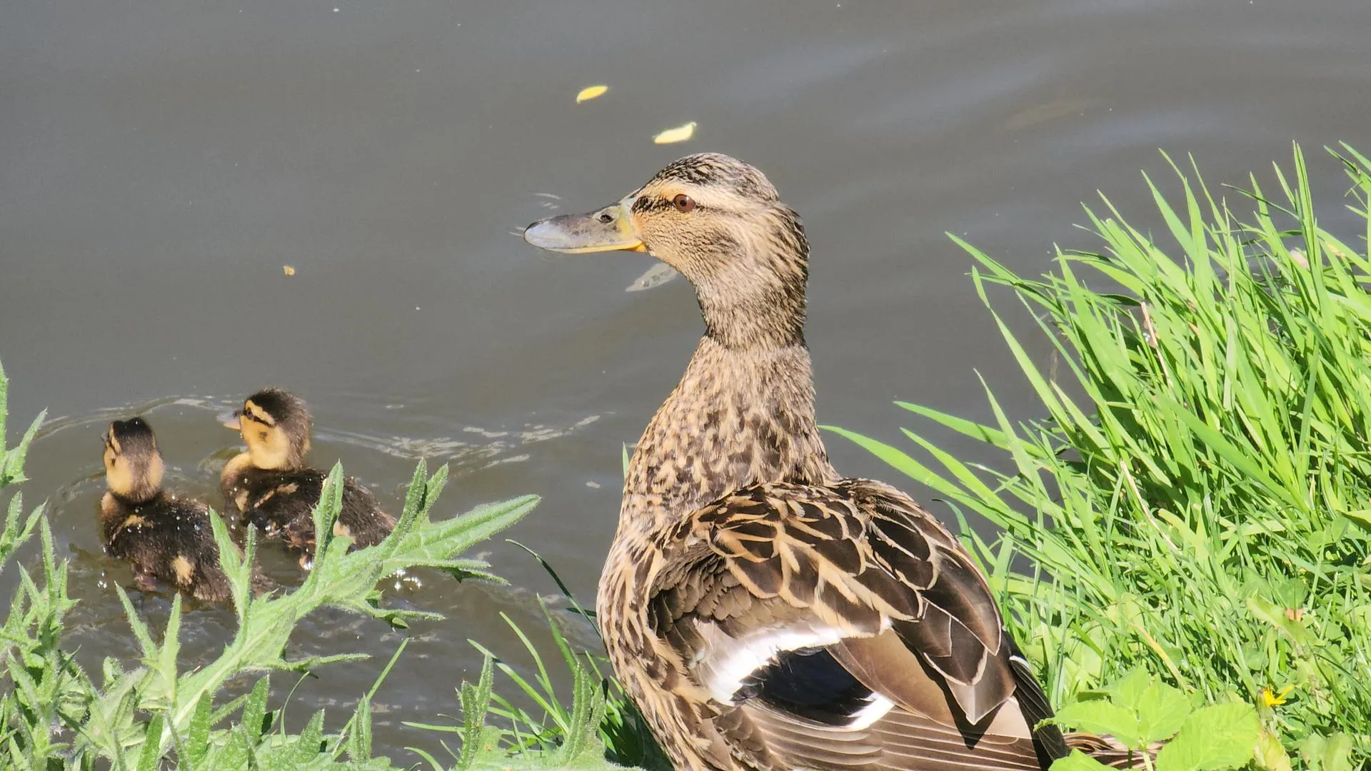 Фото: Артем Мишуков