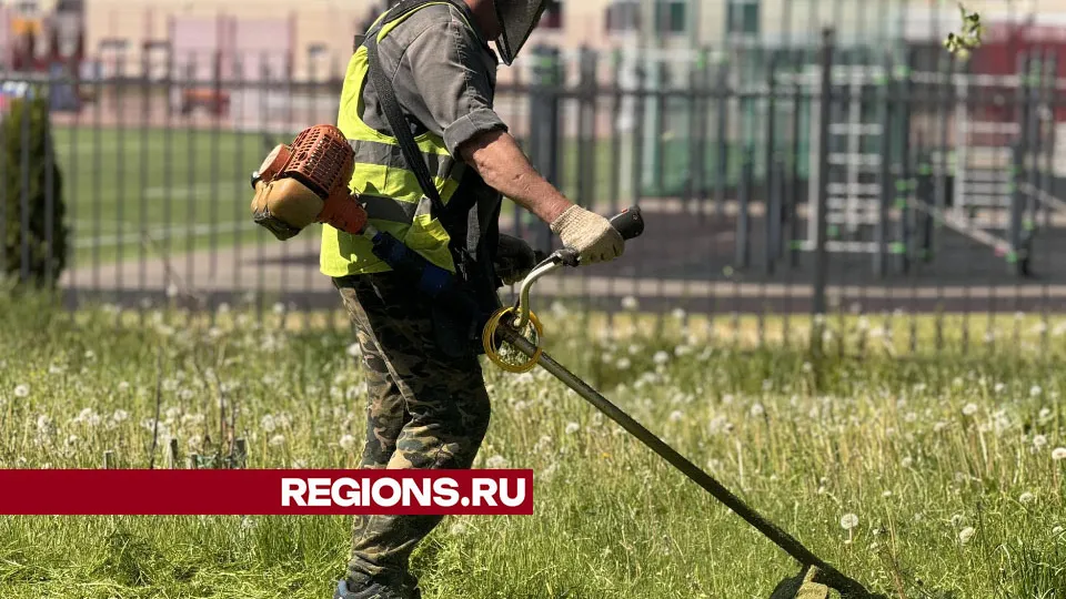 Фото: Татьяна Рунова