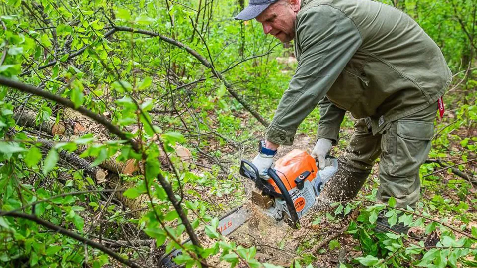 Фото: пресс-служба администрации Одинцовского г.о.