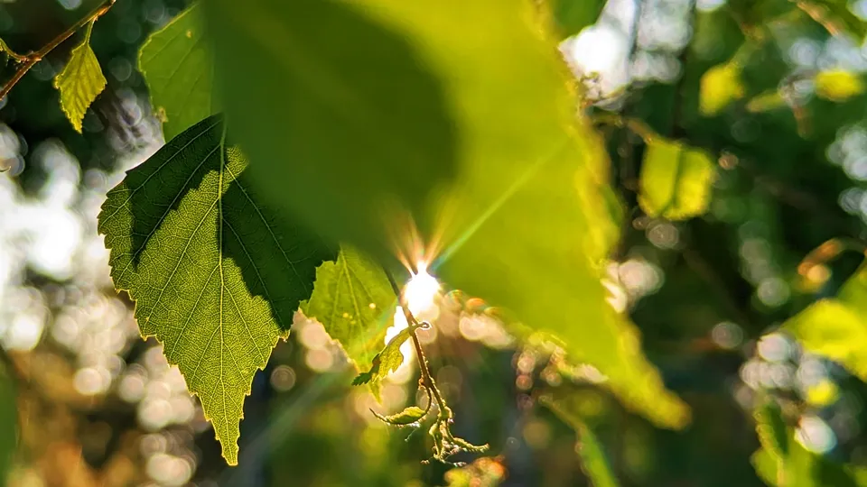 Фото: REGIONS/Алексей Селиверстов