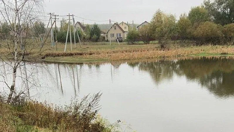 Незаконные коммуникации в пруду демонтировали в Коломне